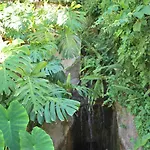Albergaria Do Lageado