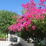 Мини-отель Albergaria Do Lageado Моншики