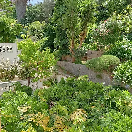 Albergaria Do Lageado Monchique