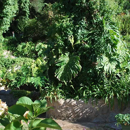 宾馆 Albergaria Do Lageado 3*