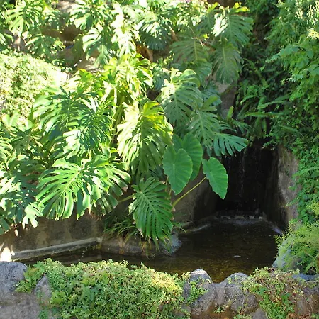 宾馆 Albergaria Do Lageado