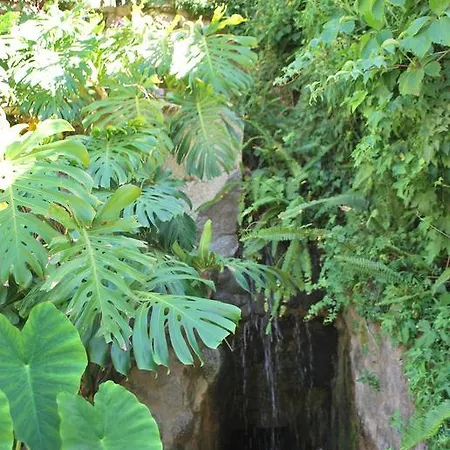 Albergaria Do Lageado